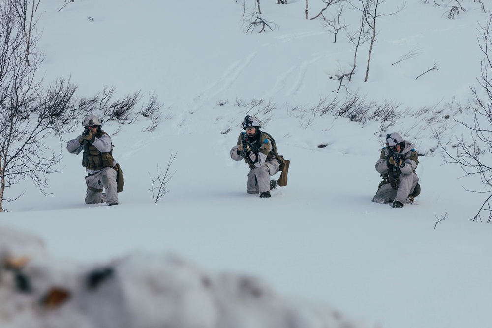 Exercise Joint Viking 25: Battle Handover