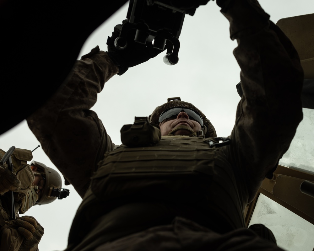 2d Assault Amphibian Battalion Live-Fire Training