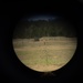 2d Assault Amphibian Battalion Live-Fire Training