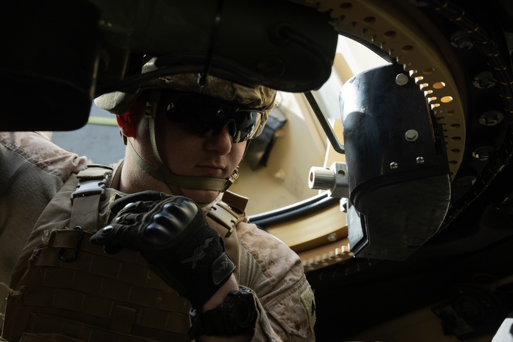 2d Assault Amphibian Battalion Live-Fire Training