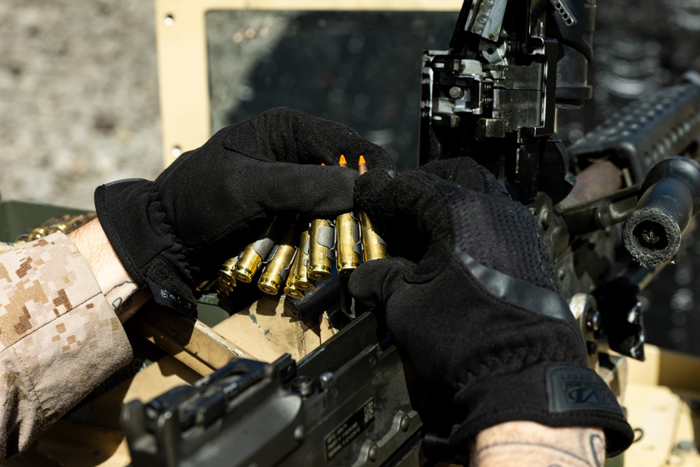 2d Assault Amphibian Battalion Live-Fire Training