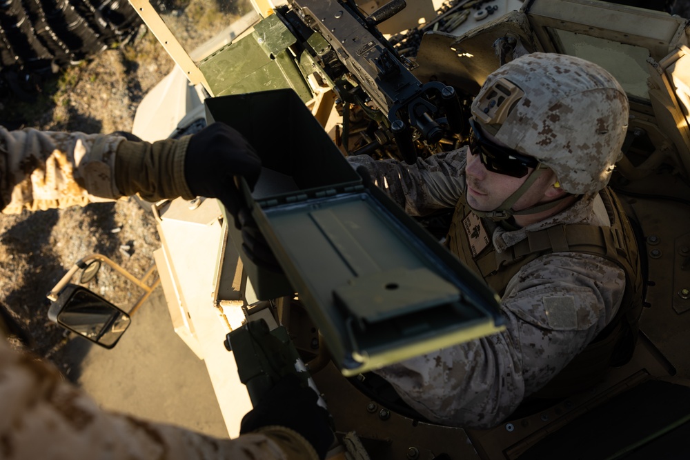 2d Assault Amphibian Battalion Live-Fire Training