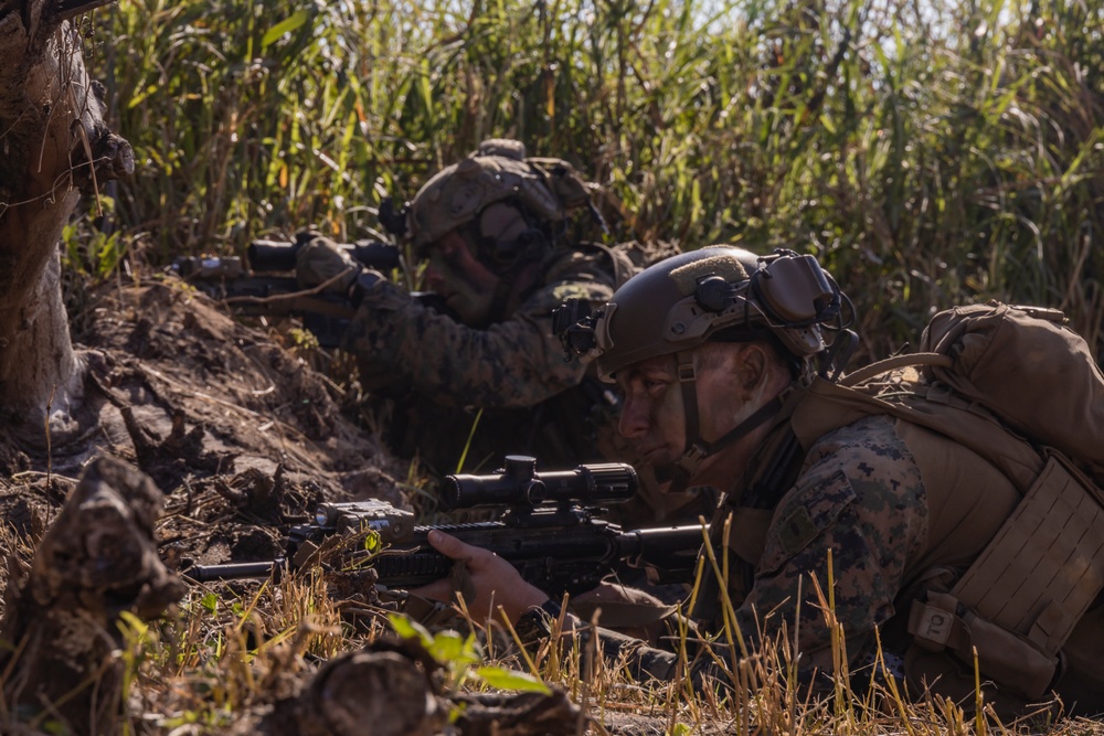Iron Fist 25 | 31st MEU, JGSDF conduct Amphibious Landing Display