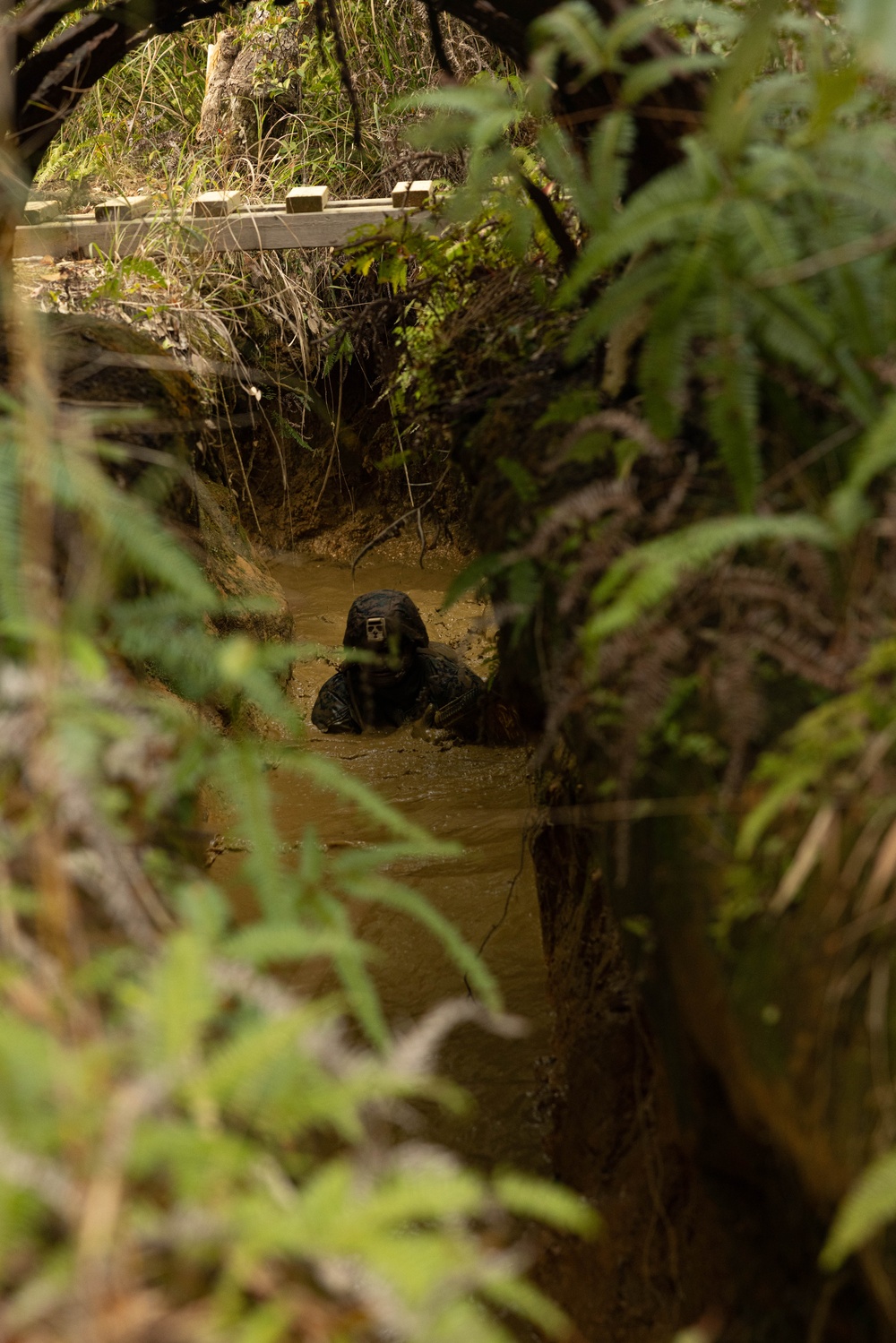 U.S. Marines with CLR-37 Conduct Basic Jungle Skills Course