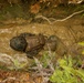 U.S. Marines with CLR-37 Conduct Basic Jungle Skills Course