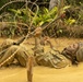 U.S. Marines with CLR-37 Conduct Basic Jungle Skills Course