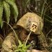 U.S. Marines with CLR-37 Conduct Basic Jungle Skills Course