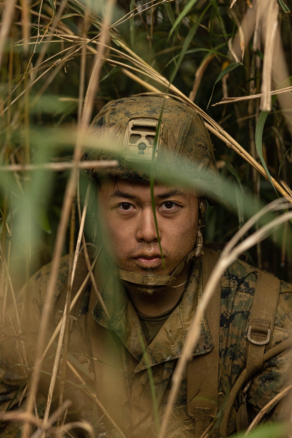 U.S. Marines with CLR-37 Conduct Basic Jungle Skills Course