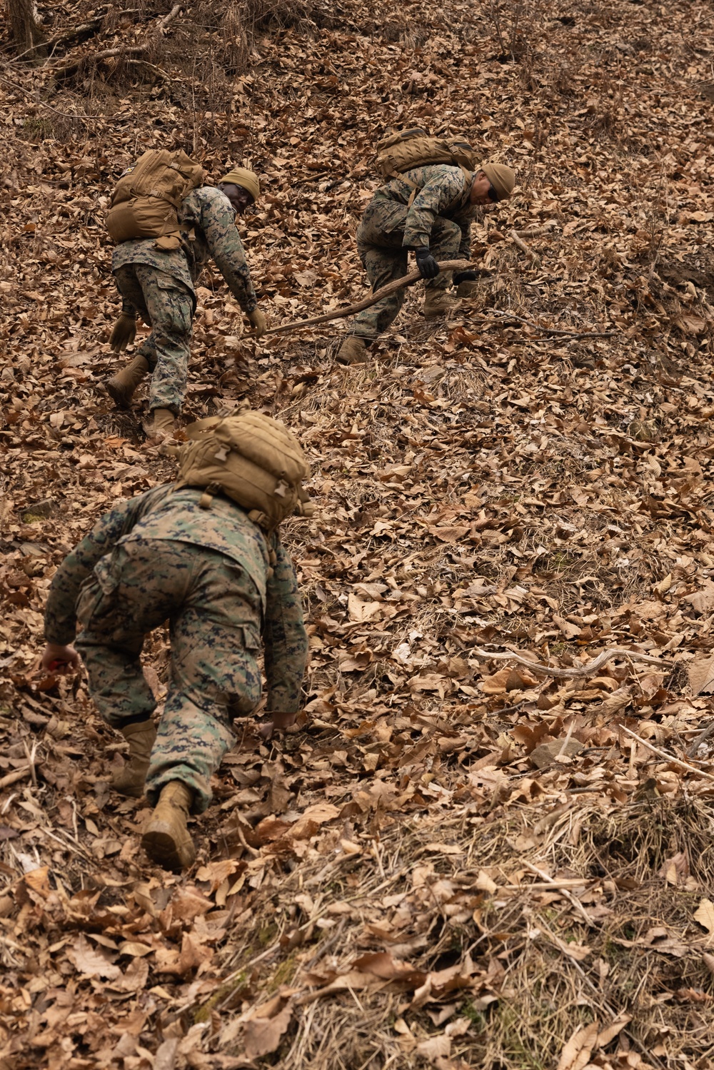 3/12 Marines Participate in Land Navigation Training