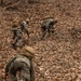 3/12 Marines Participate in Land Navigation Training