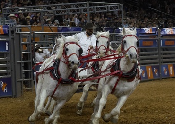 Armed Forces Day at the Houston Rodeo