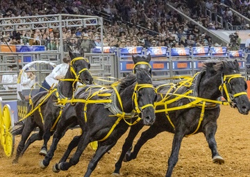 Armed Forces Day at the Houston Rodeo