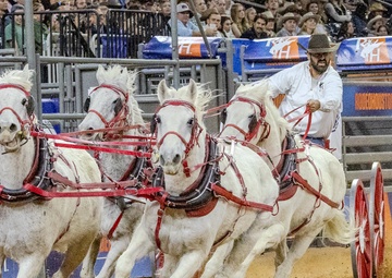 Armed Forces Day at the Houston Rodeo