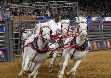 Armed Forces Day at the Houston Rodeo
