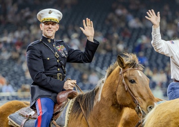 Armed Forces Appreciation Day at the Houston Rodeo