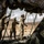 1st Inf. Div. HHBn Conducts Rotation to National Training Center 1st Inf. Div. HHBn Conducts Rotation to National Training Center