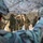 1st Inf. Div. HHBn Conducts Rotation to National Training Center 1st Inf. Div. HHBn Conducts Rotation to National Training Center
