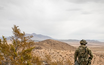 1st Inf. Div. HHBn Conducts Rotation to National Training Center