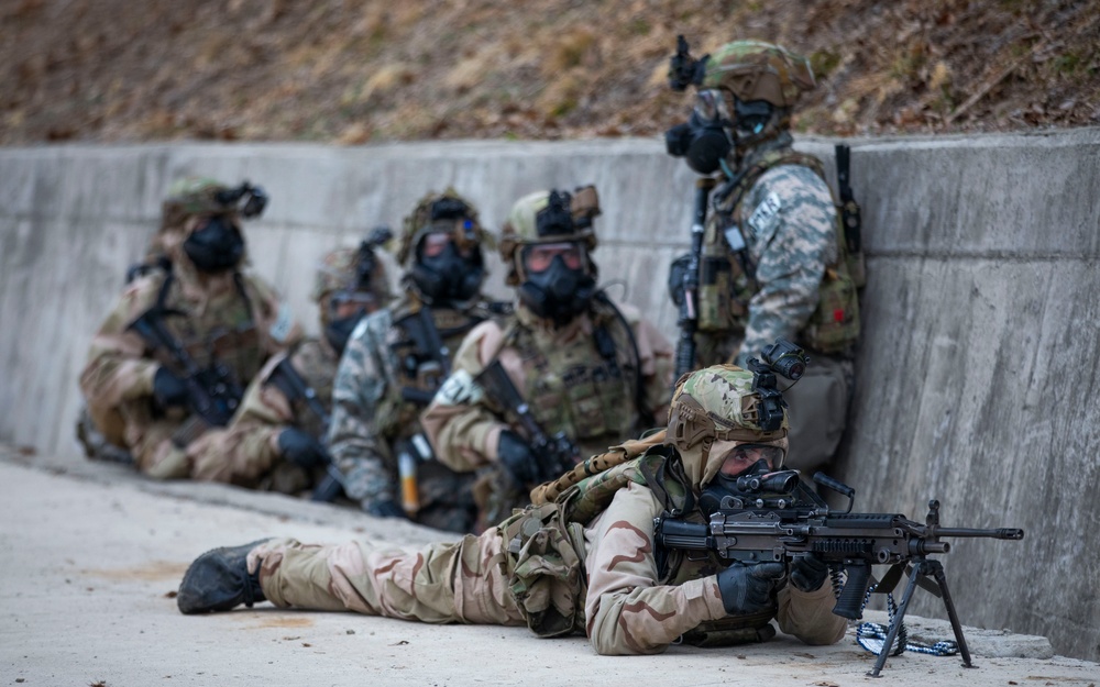 Freedom Shield 25 Allied Counter Weapons of Mass Destruction Removal Operations