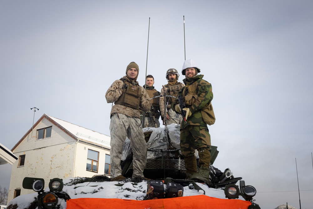 Exercise Joint Viking 25: Allied Link-Up