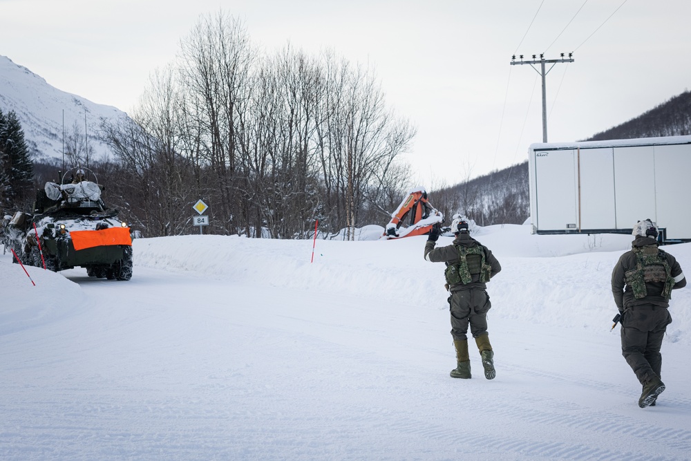 Exercise Joint Viking 25: Allied Link-Up