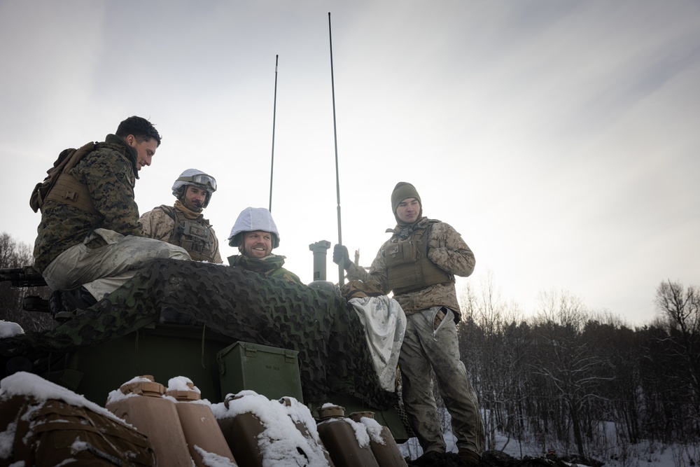 Exercise Joint Viking 25: Allied Link-Up