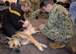A Corpsman and Canine Connection for Operational Readiness