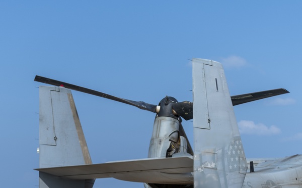Task Force Associator Soldiers conduct sling-load training with Marines