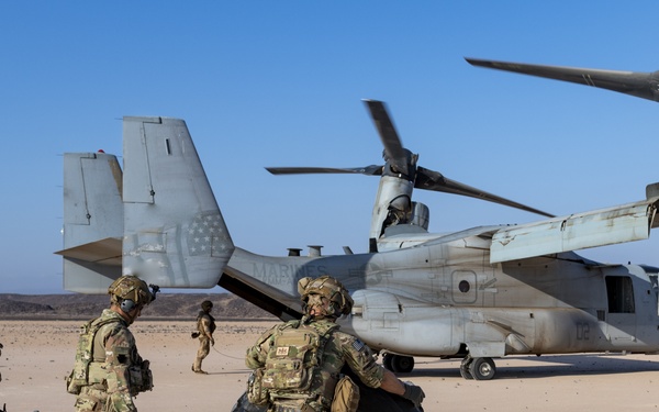 Task Force Associator Soldiers conduct sling-load training with Marines