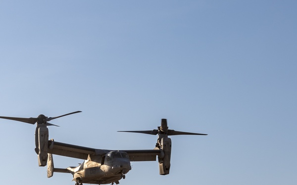 Task Force Associator Soldiers conduct sling-load training with Marines