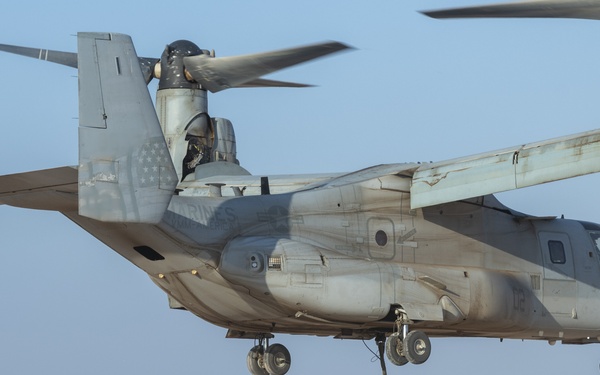 Task Force Associator Soldiers conduct sling-load training with Marines