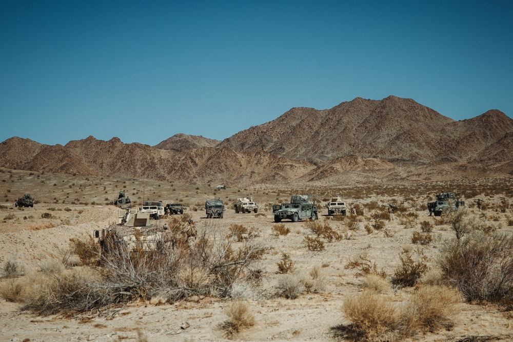 7th Marine Regiment competes against 14th Marine Regiment during MAGTF Warfighting Exercise 1-25