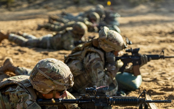 1AD DSB Certified Fit to Fight