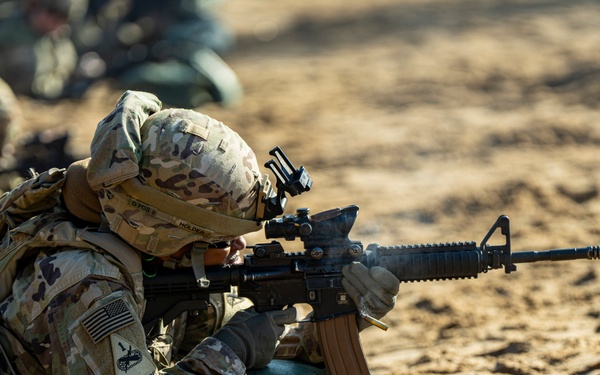 1AD DSB Certified Fit to Fight