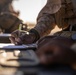 V17 conducts Marine Air-Ground Task Force Warfighting Exercise 1-25