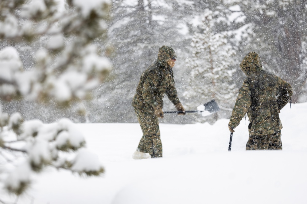 U.S. Marines with 1st Battalion, 6th Marine Regiment, 2d Marine Division, set up camp during MTX 2-25