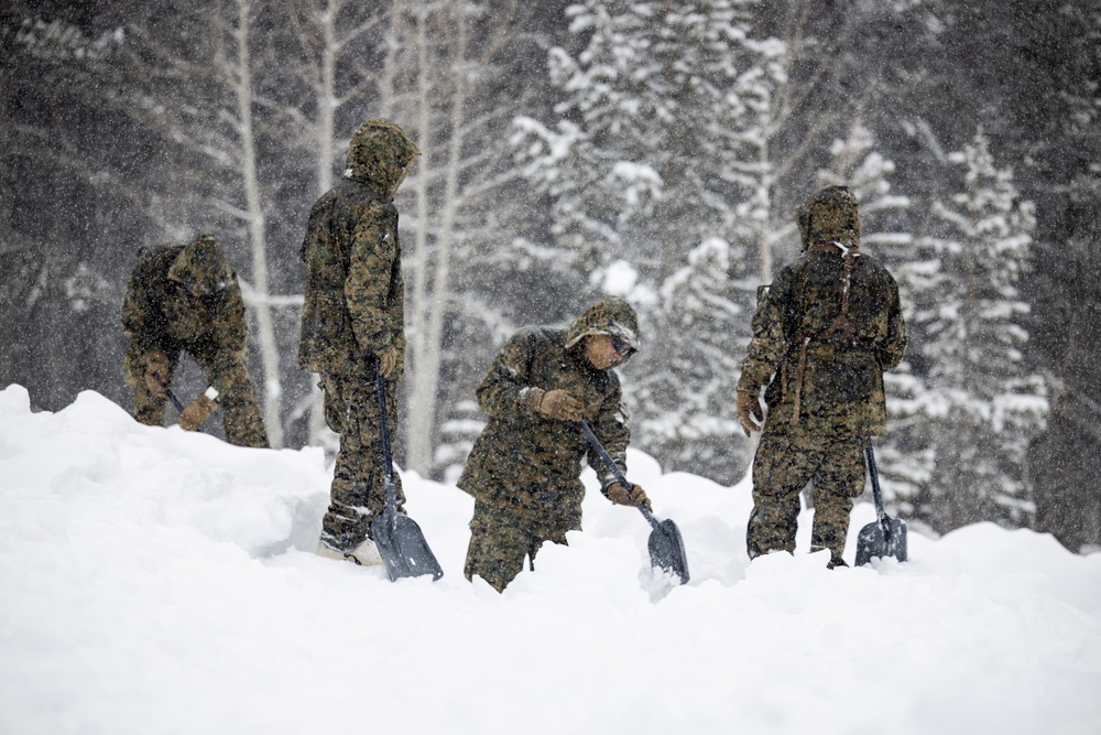 U.S. Marines with 1st Battalion, 6th Marine Regiment, 2d Marine Division, set up camp during MTX 2-25