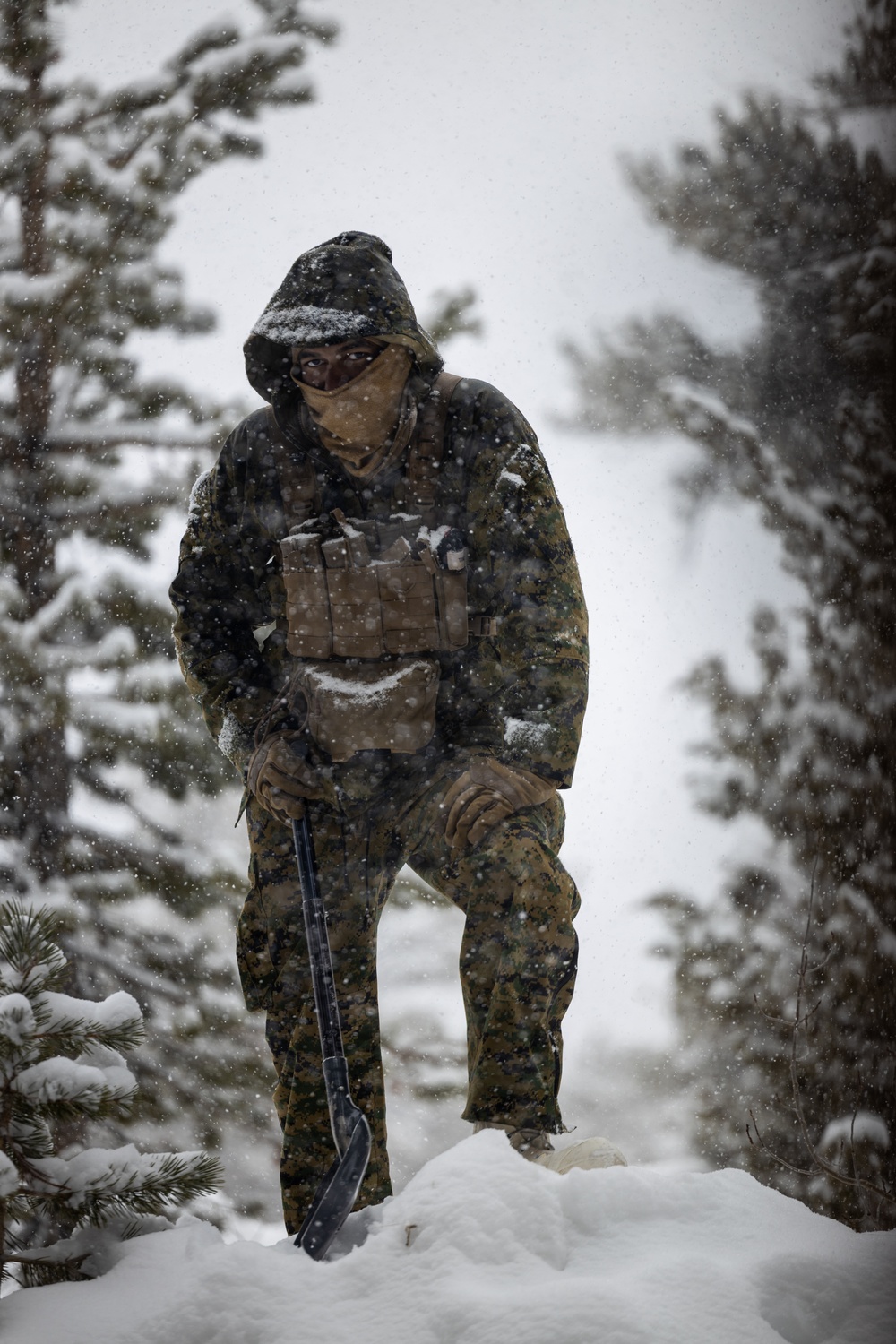 U.S. Marines with 1st Battalion, 6th Marine Regiment, 2d Marine Division, set up camp during MTX 2-25