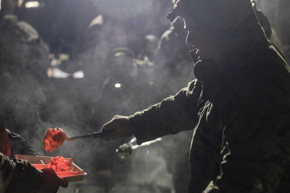 U.S. Marines with 1st Battalion, 6th Marine Regiment, 2d Marine Division, set up camp during MTX 2-25