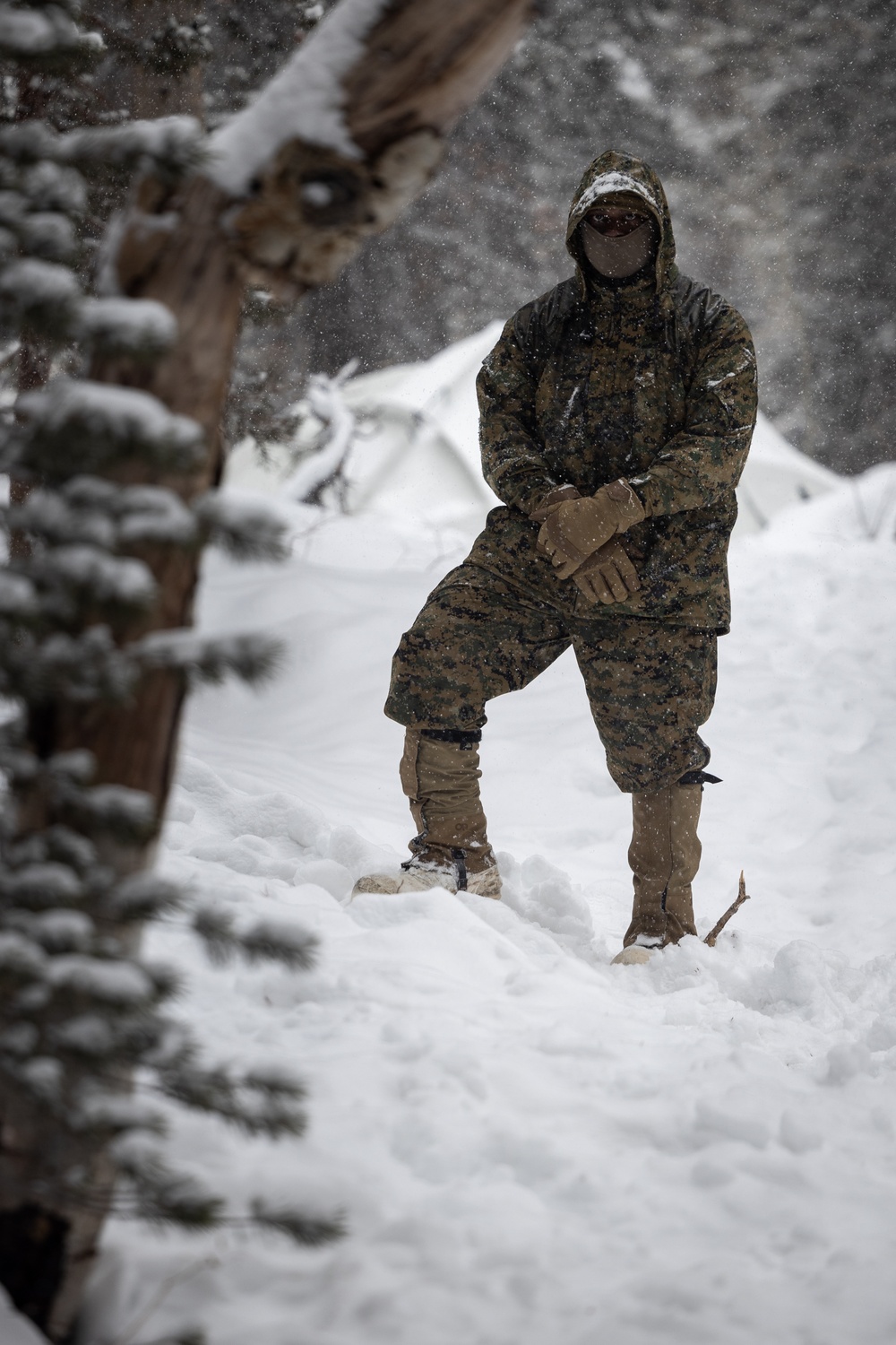U.S. Marines with 1st Battalion, 6th Marine Regiment, 2d Marine Division, set up camp during MTX 2-25