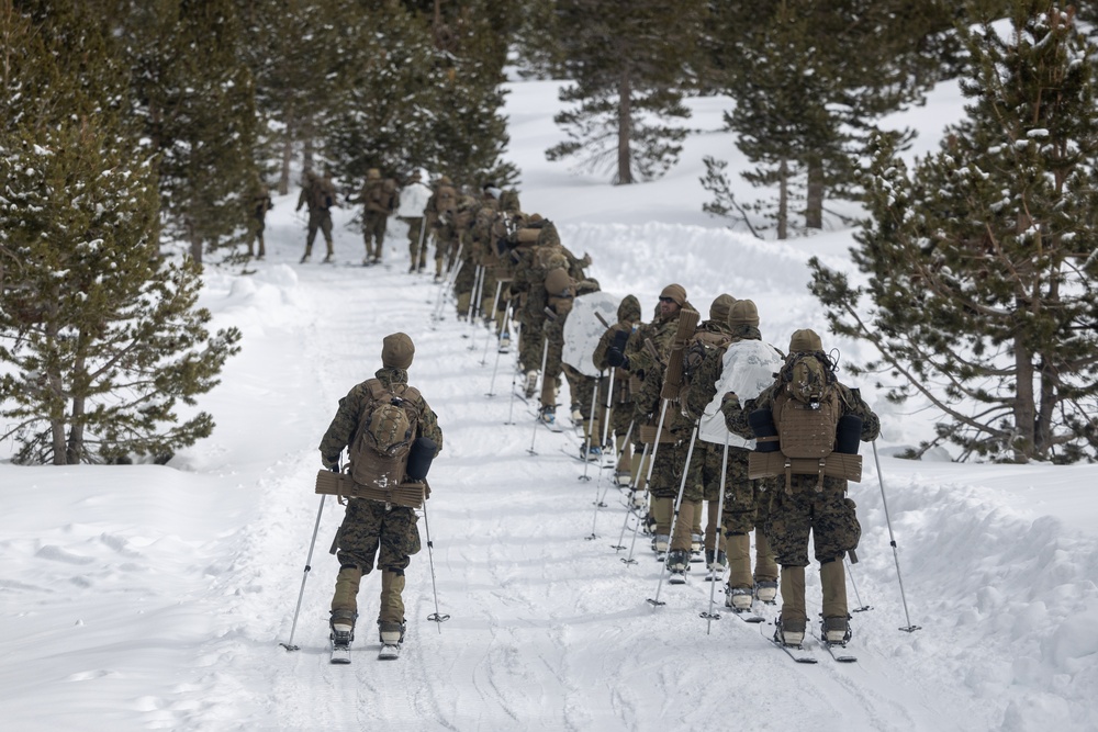 U.S. Marines with 1st Battalion, 6th Marine Regiment, 2d Marine Division ski patrol during MTX 2-25