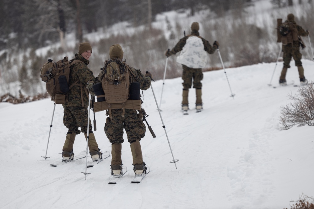 U.S. Marines with 1st Battalion, 6th Marine Regiment, 2d Marine Division ski patrol during MTX 2-25