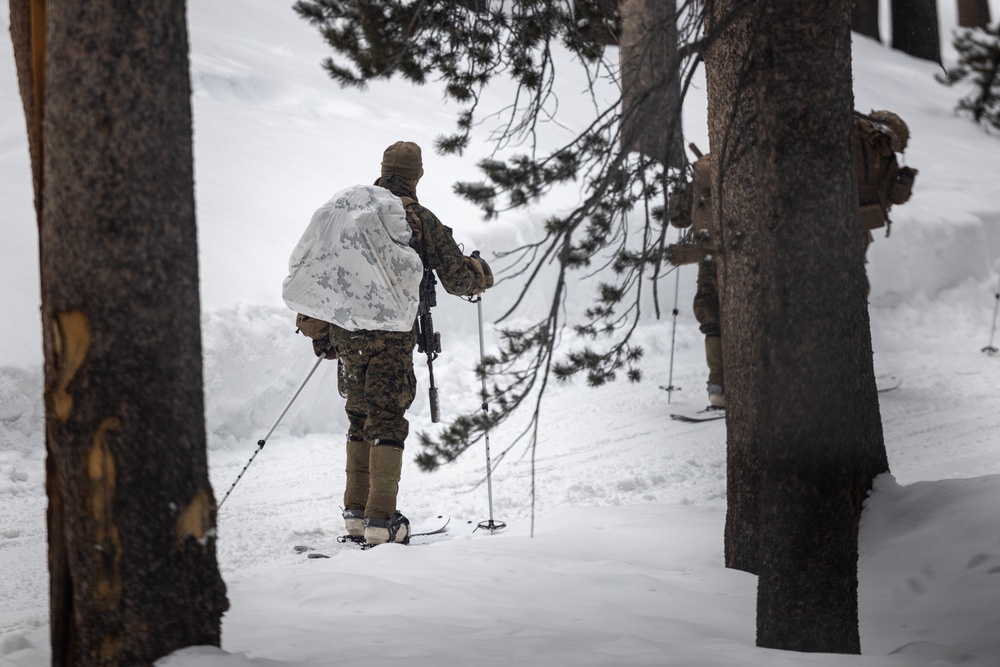 U.S. Marines with 1st Battalion, 6th Marine Regiment, 2d Marine Division ski patrol during MTX 2-25
