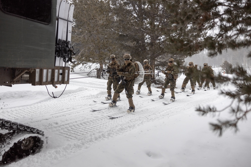 U.S. Marines with 1st Battalion, 6th Marine Regiment, 2d Marine Division ski patrol during MTX 2-25