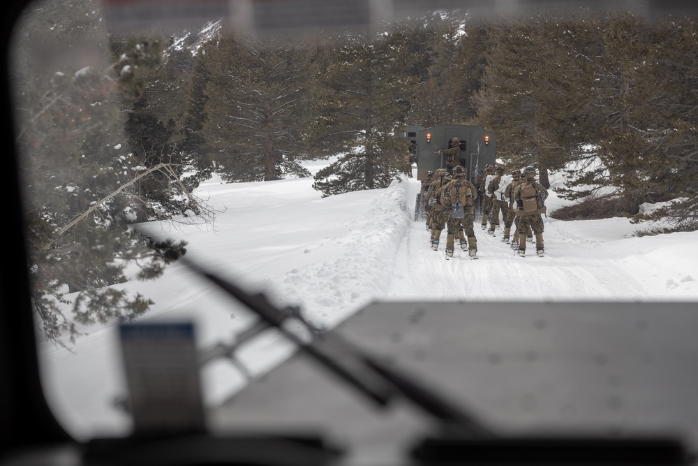 U.S. Marines with 1st Battalion, 6th Marine Regiment, 2d Marine Division ski patrol during MTX 2-25