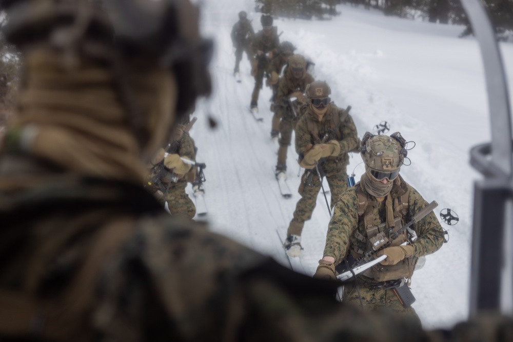U.S. Marines with 1st Battalion, 6th Marine Regiment, 2d Marine Division ski patrol during MTX 2-25