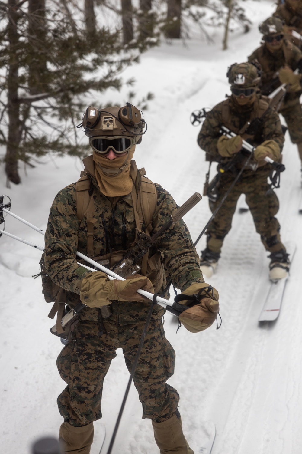 U.S. Marines with 1st Battalion, 6th Marine Regiment, 2d Marine Division ski patrol during MTX 2-25
