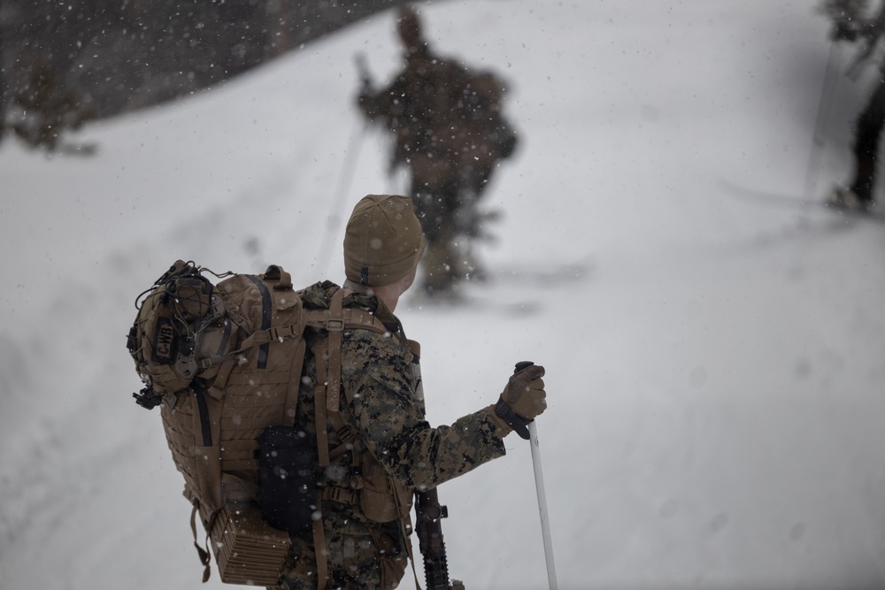 U.S. Marines with 1st Battalion, 6th Marine Regiment, 2d Marine Division ski patrol during MTX 2-25