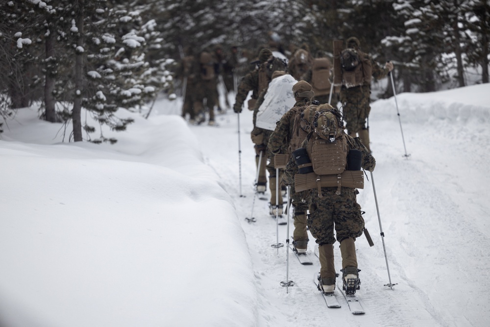 U.S. Marines with 1st Battalion, 6th Marine Regiment, 2d Marine Division ski patrol during MTX 2-25