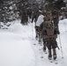 U.S. Marines with 1st Battalion, 6th Marine Regiment, 2d Marine Division ski patrol during MTX 2-25
